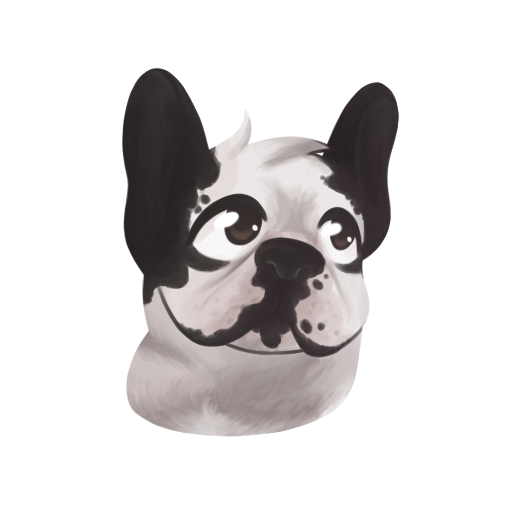 Illustration de Shiro, un Bouledogue Français blanc tacheté de noir